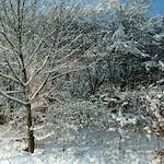 image: Image du photoset ‘way to work (viii)’.