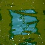 Image: Third image from the photoset 'utrecht (viii)'.