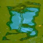 Image: Fifth image from the photoset 'utrecht (viii)'.