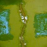 Image: Ninth image from the photoset 'utrecht (viii)'.