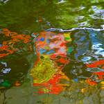 Image: Fourth image from the photoset 'den haag (ii)'.