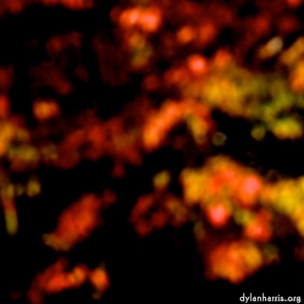 image: This is ‘
parc (v) 1
’.