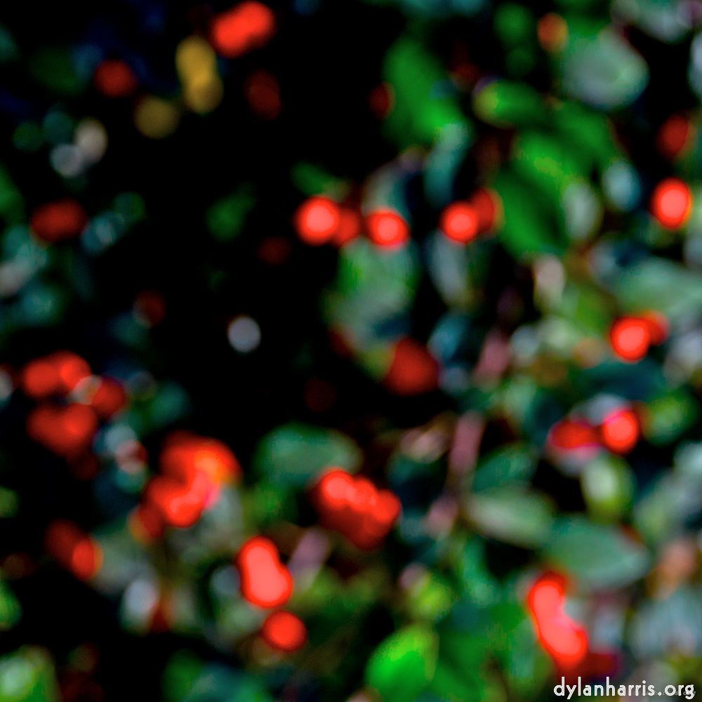 image: This is ‘
parc (v) 2
’.