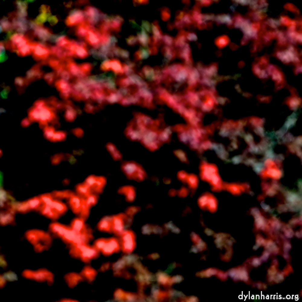 image: This is ‘
parc (v) 3
’.