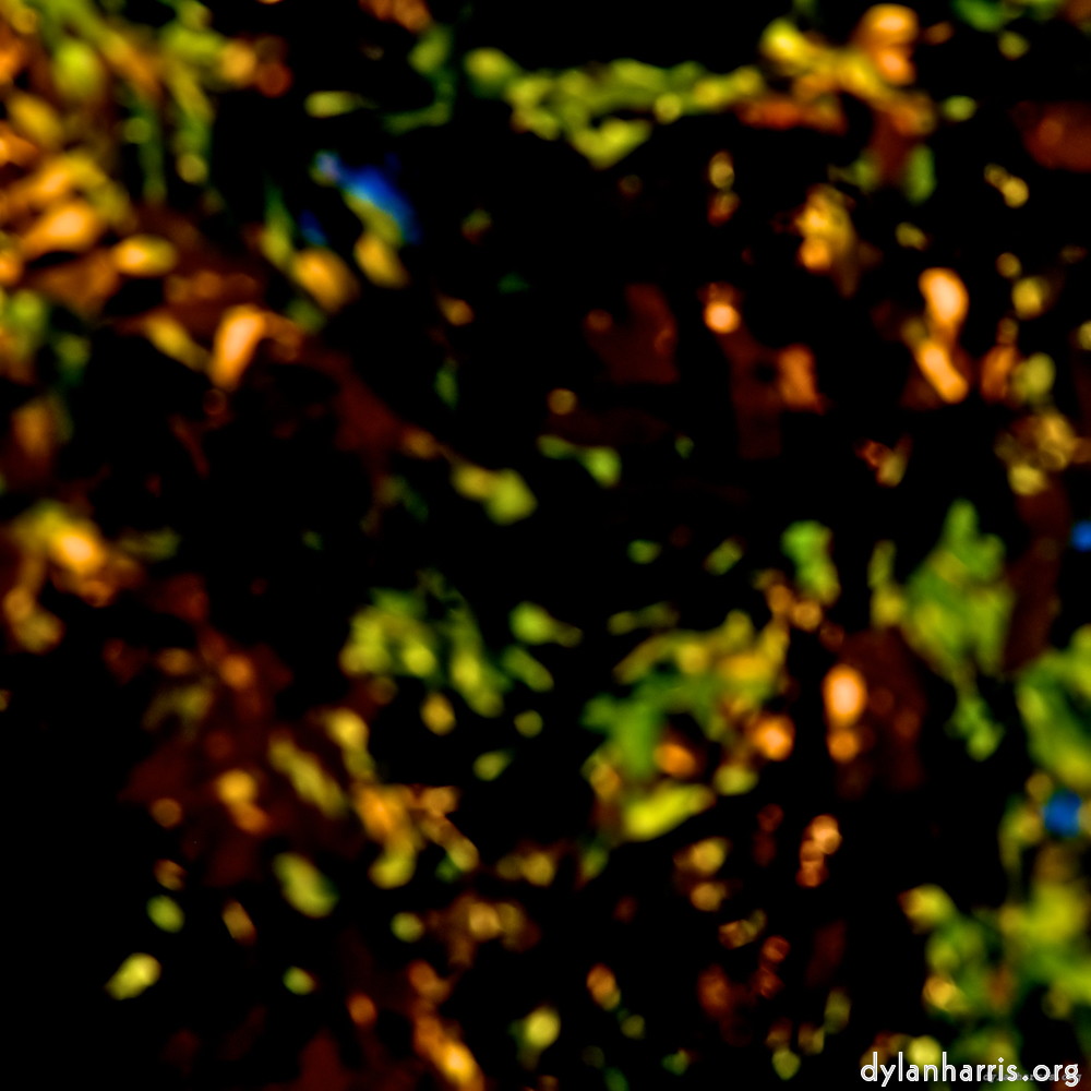 image: This is ‘
parc (v) 5
’.