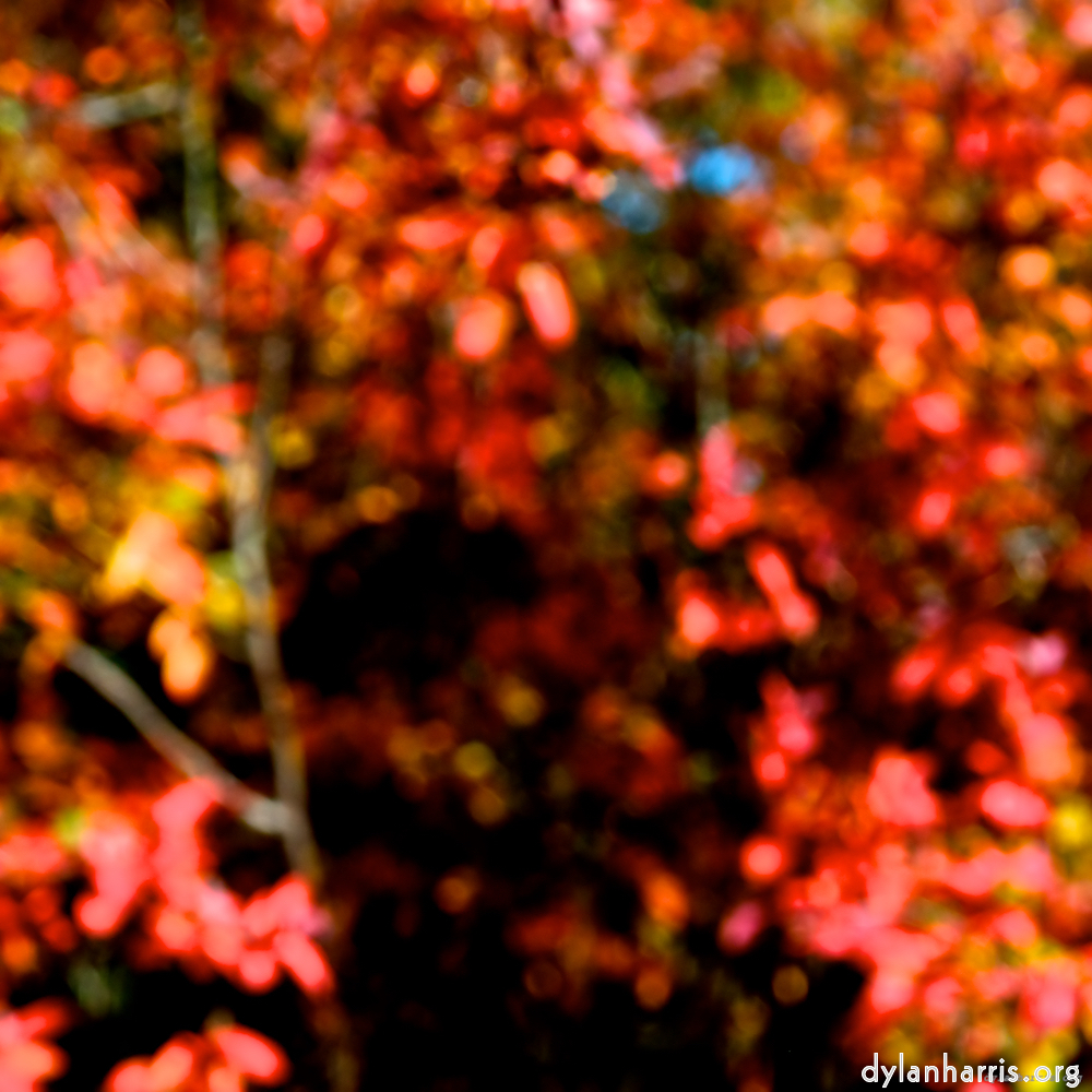 image: This is ‘
parc (v) 6
’.