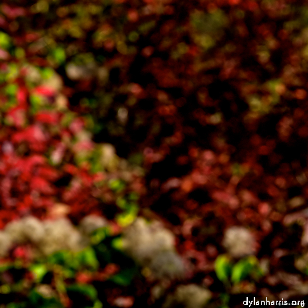 image: This is ‘
parc (v) 7
’.