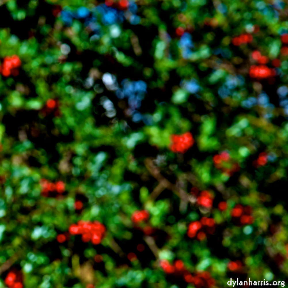 image: This is ‘
parc (v) 8
’.