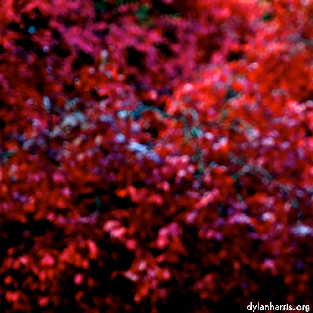 image: This is ‘
parc (v) 9
’.