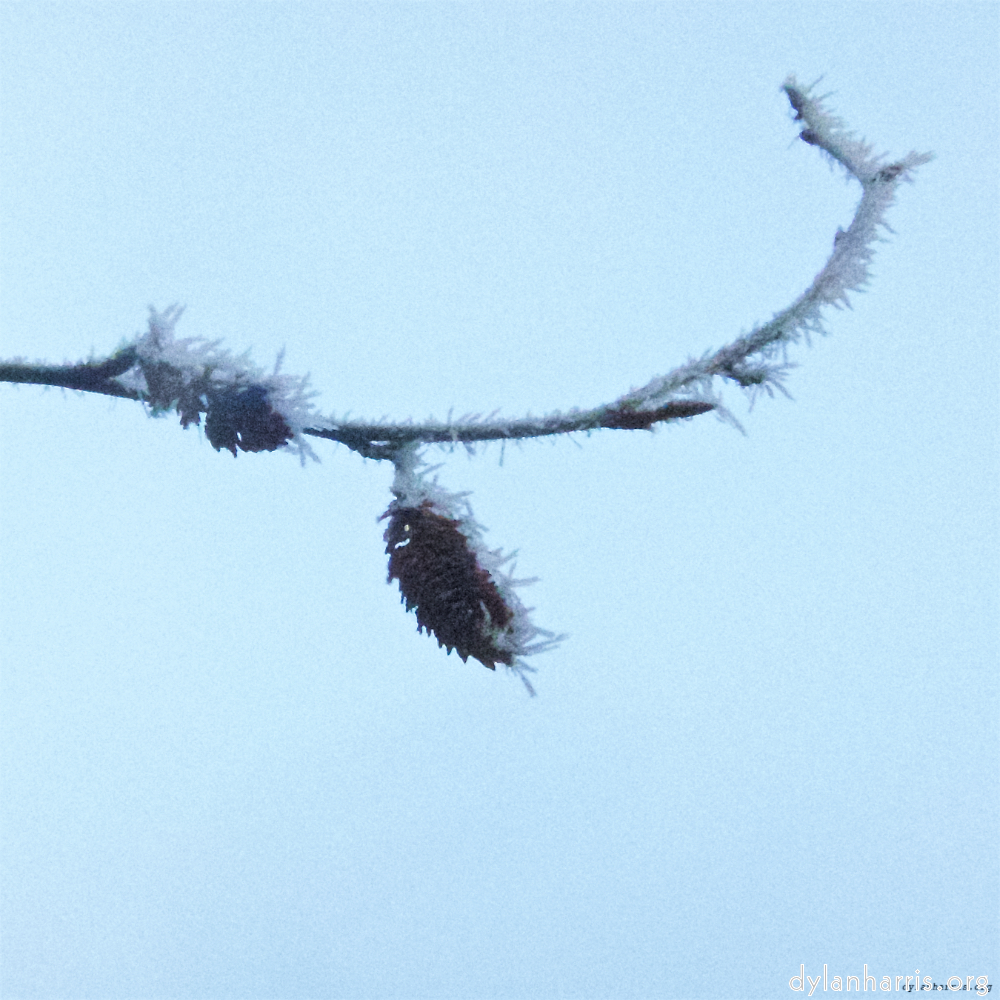 Image 'esch–sur–alzette (x) 2', at Escher Déierepark, head and torso of a doe.
