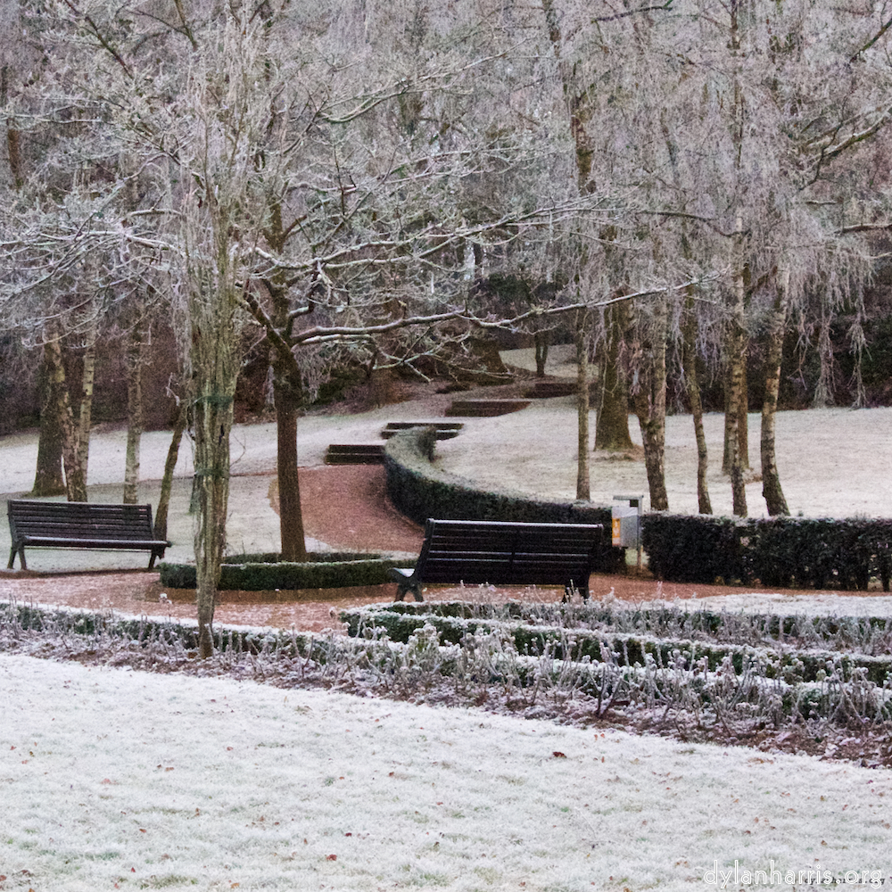 Image 'esch–sur–alzette (x) 3', at Escher Déierepark, the head and crest of a chicken.