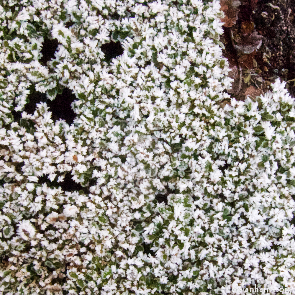 Image: Image 'esch–sur–alzette (x) 4', at Escher Déierepark, a doe realises I’ve no treats.