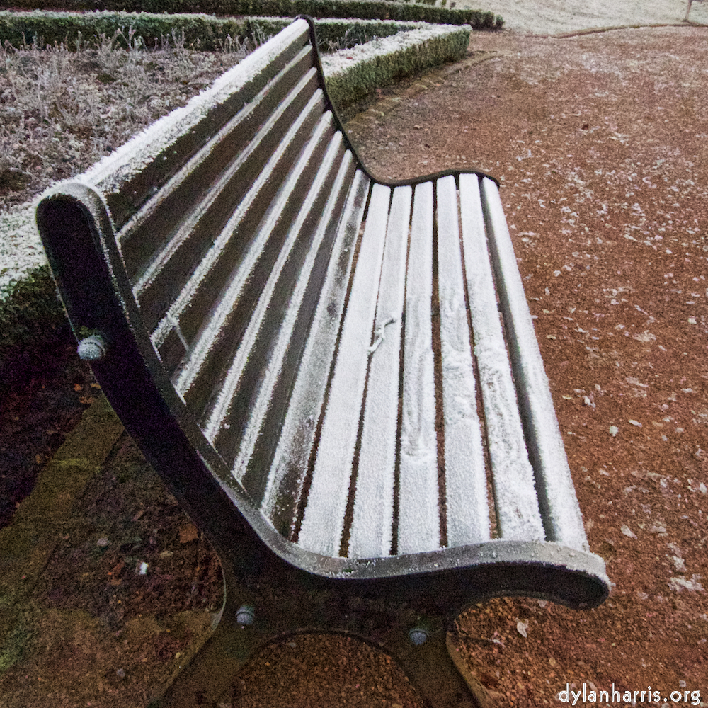 Image: Image 'esch–sur–alzette (x) 5', of daffodils.