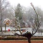 First image of Escher Déierepark, from the photoset 'esch–sur–alzette (x)'.