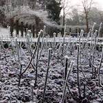 Sixth image of Escher Déierepark, from the photoset 'esch–sur–alzette (x)'.