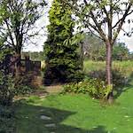 Image: Sixth image from the photoset '55'.