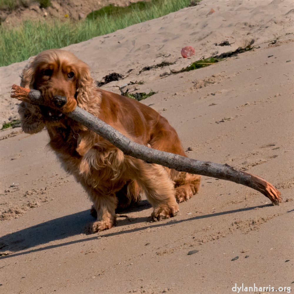 Image: Image 'family (x) 2'.