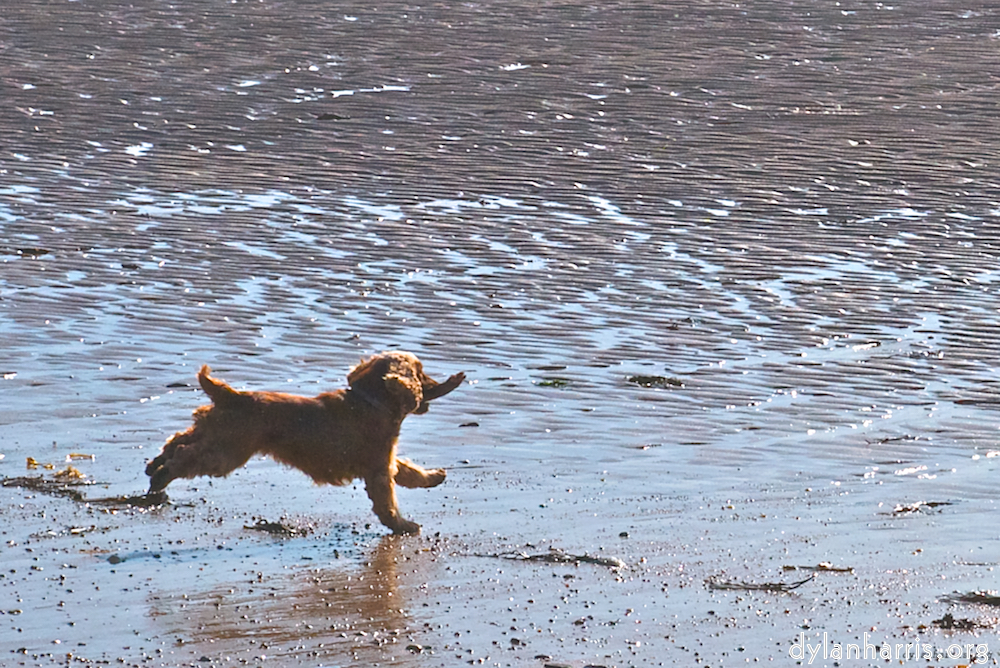 Image: Image 'family (x) 4'.