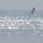 Image: Sixth image from the photoset 'family (x)'.