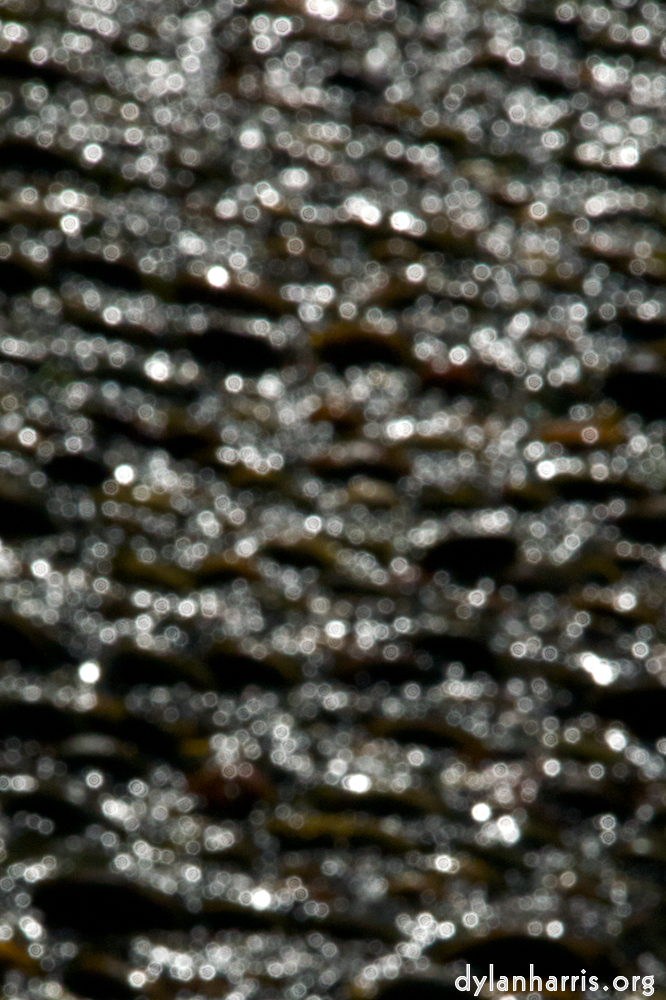 Image: Image 'alnwick 1'.