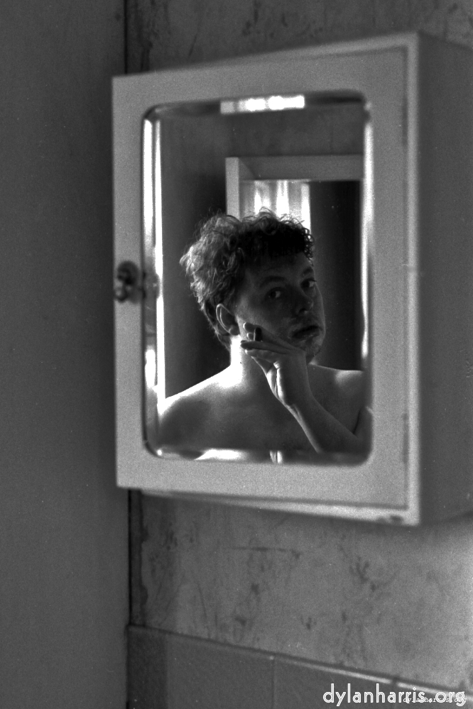 image: This is ‘
auto 11
’.