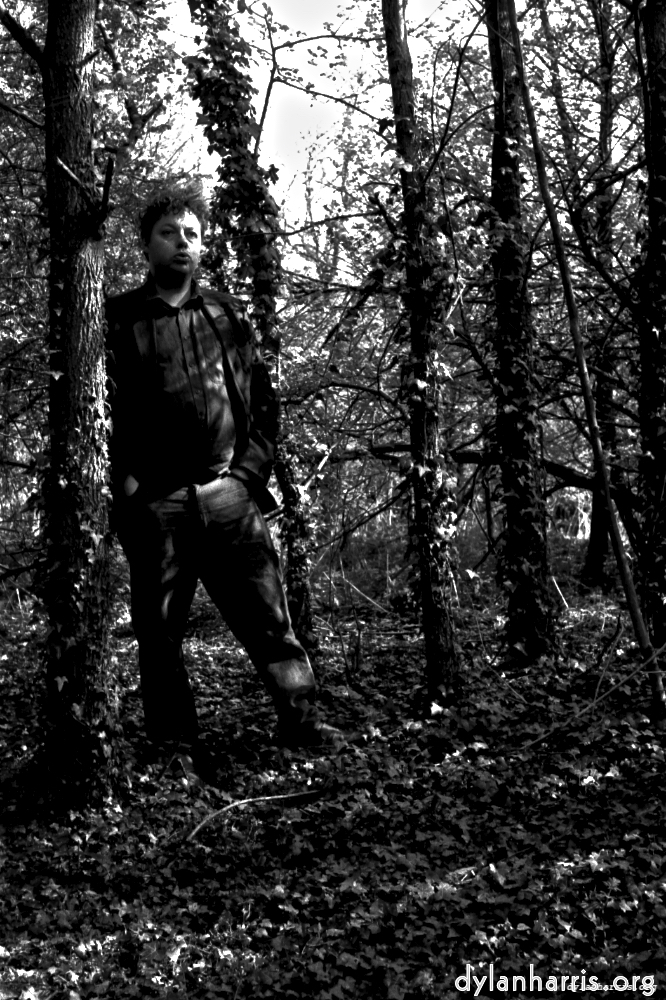 image: This is ‘
auto 12
’.