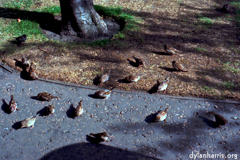 Image: Image 'edinburgh 2'.