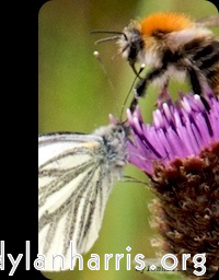 Image: Image 'front (i) 1'.