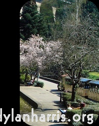 Image: Image 'front (i) 13'.