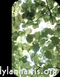 Image: Image 'front (i) 14'.