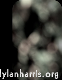 Image: Image 'front (i) 16'.