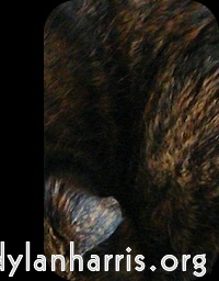 Image: Image 'front (i) 2'.