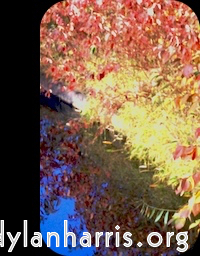 Image 'front (ii) 8'.