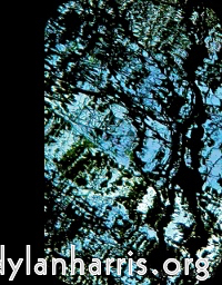 Image: Image 'front (iii) 3'.