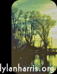 Image 'front (iii) 8'.