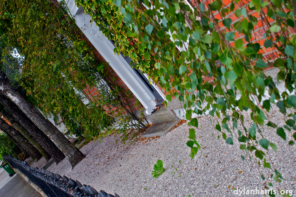 Image 'dublin (iv) 6'.