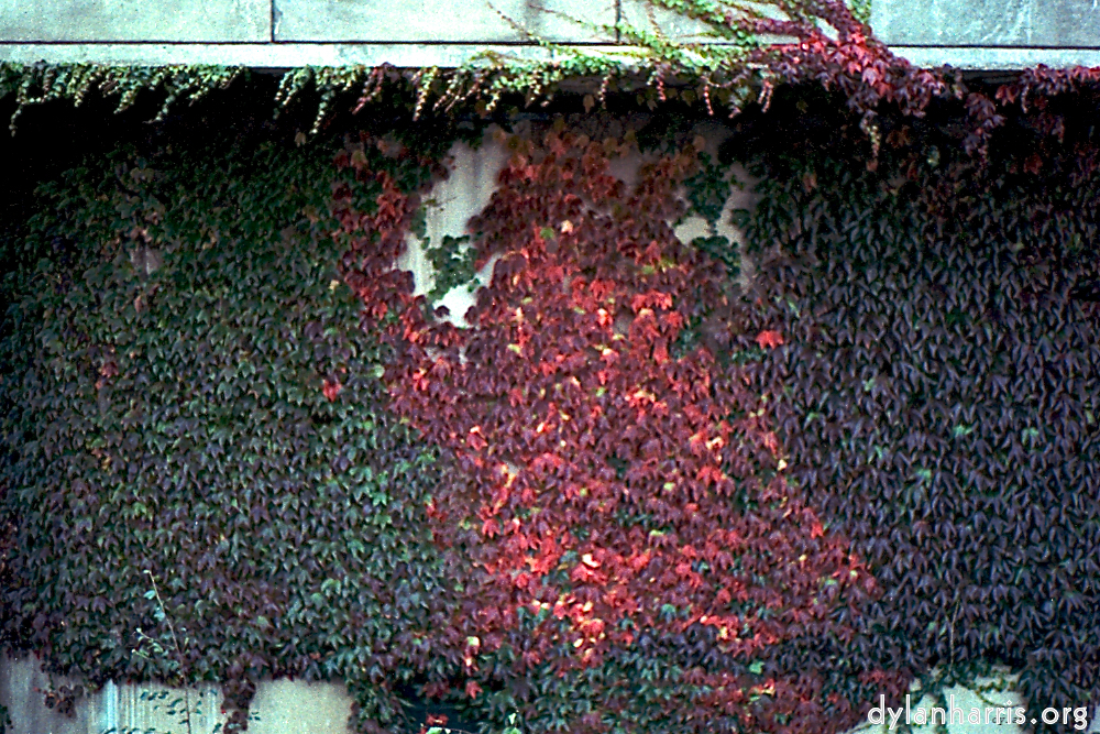 Image: Image 'london 5'.