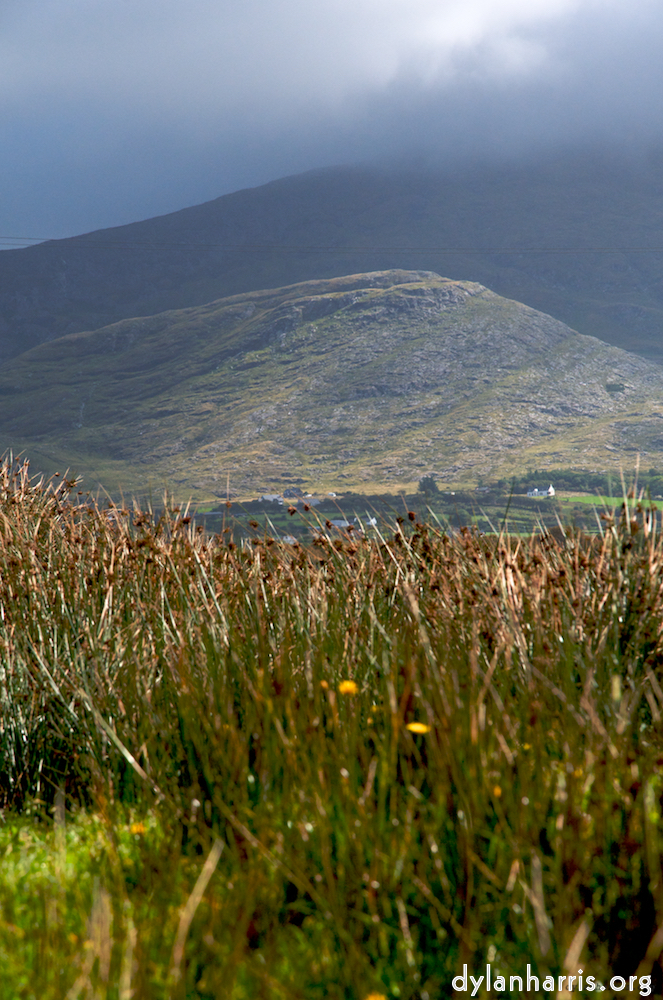 image: This is ‘
mayo (i) 4
’.