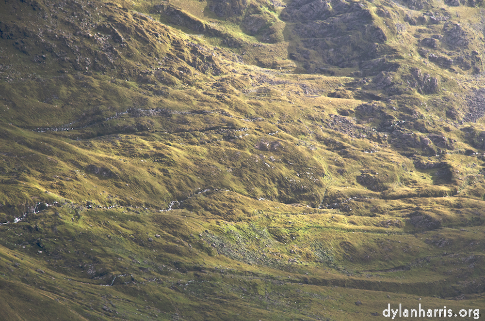 image: This is ‘
mayo (i) 5
’.