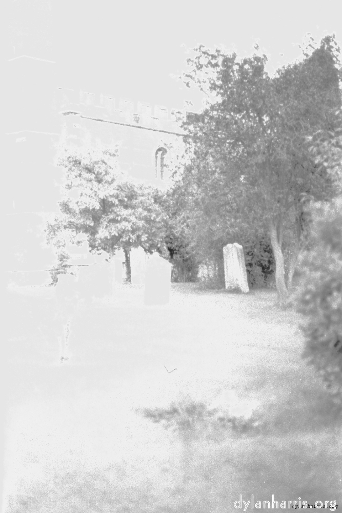 image: This is ‘
mum 6
’.