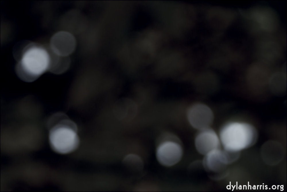 Image 'leaf (ii) 2'.