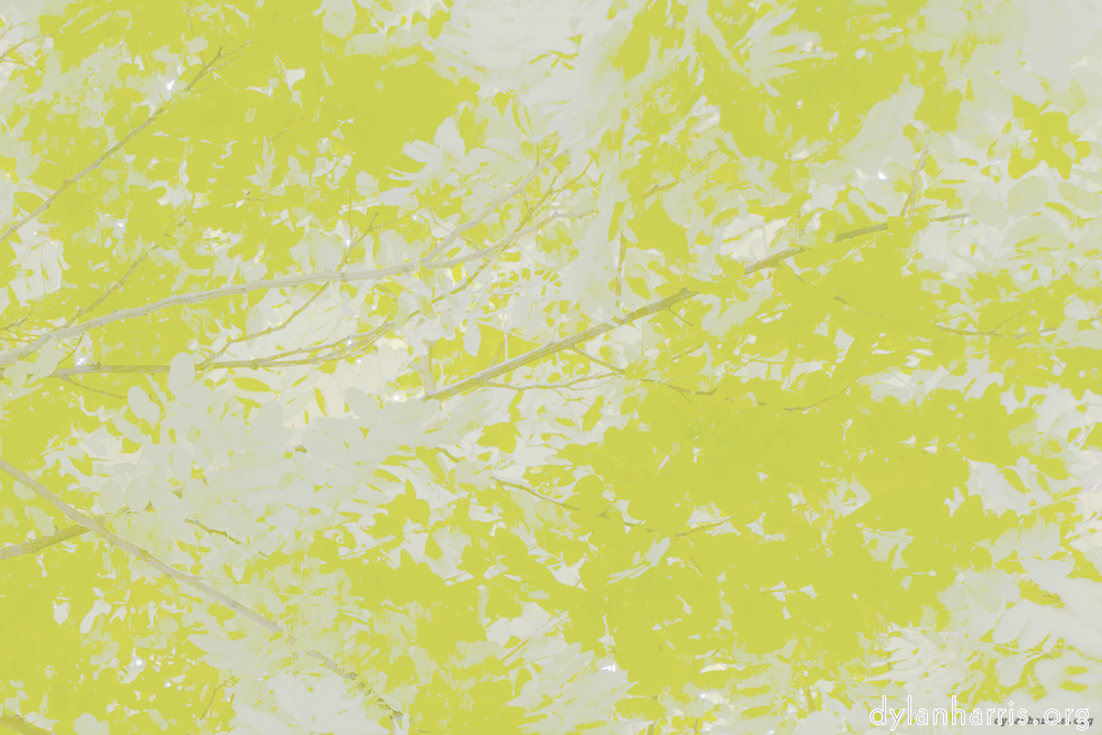 Image: Image 'leaf (ii) 4'.