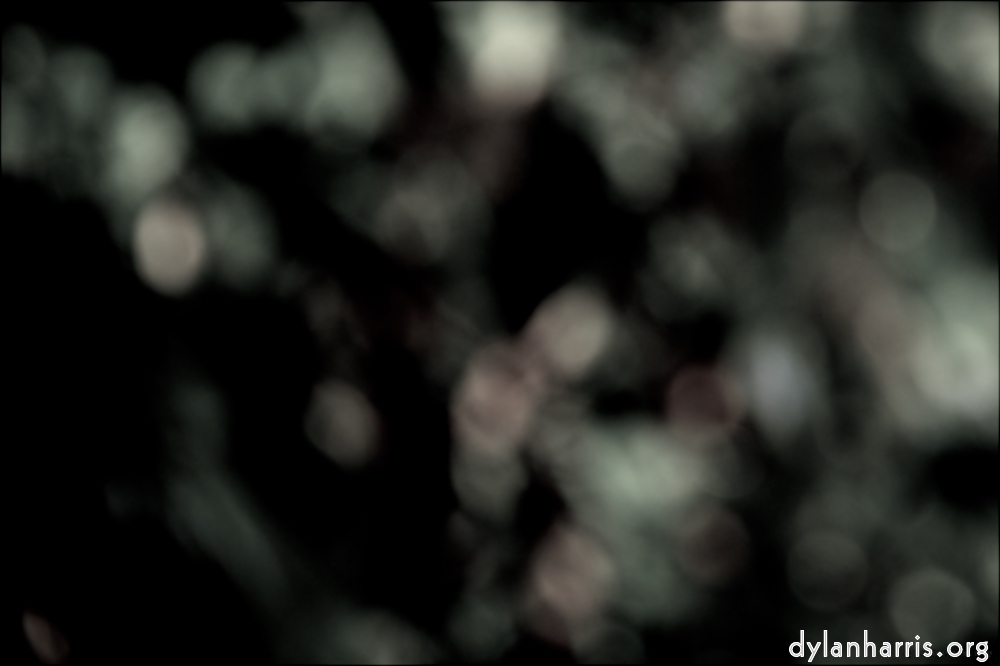 Image 'leaf (ii) 5'.