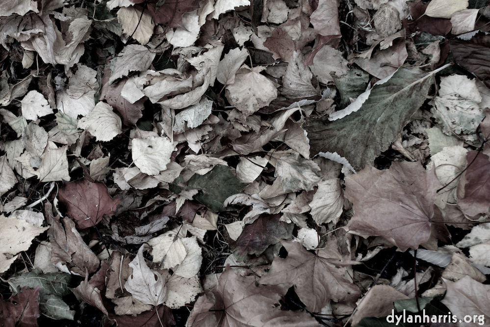 Image 'dublin (v) 1'.