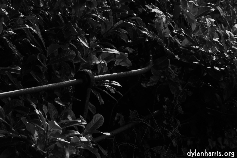 Image 'dublin (v) 4'.