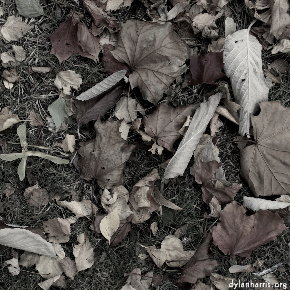 Image 'dublin (v) 6'.