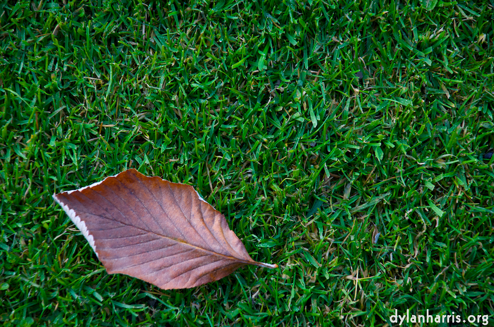 Image 'dublin (v) 7'.