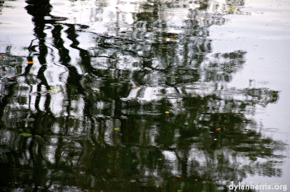 Image: Image 'water (i) 2'.
