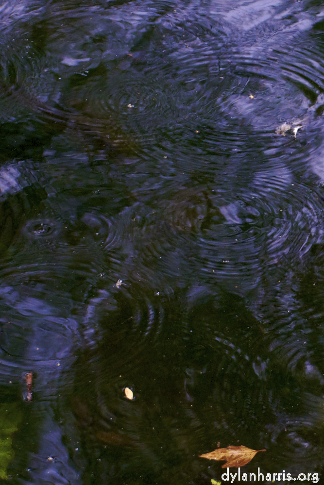 Image: Image 'water (i) 4'.