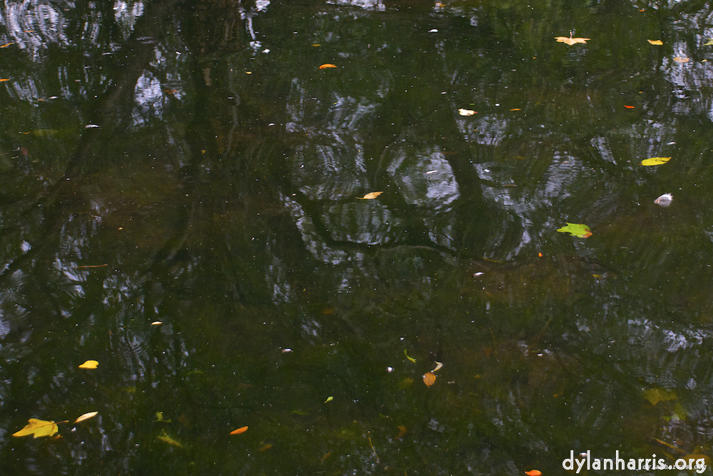 Image: Image 'water (i) 6'.